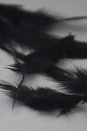 ปกนิยาย Deal with the devil | Nomin