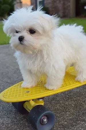 ปกนิยาย ตะวันไม่น่ารัก | minhwan