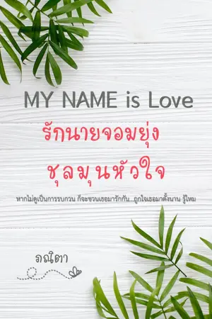 ปกนิยาย MY NAME is Love ... รักนายจอมยุ่ง ชุลมุนหัวใจ (E - Book)