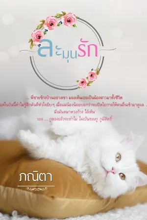 ปกนิยาย ละมุนรัก​ (E -​Book มาแล้วค่า)