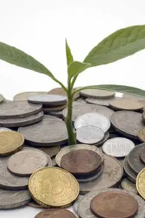 ปกนิยาย THE MONEY(ชาตินี้เกิดมาข้าต้องรวย)