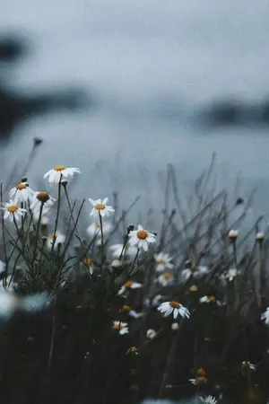 ปกนิยาย selenophilexcigarettes 🌱