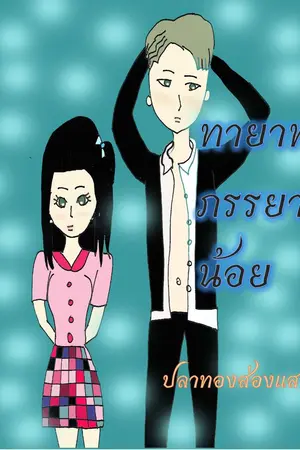 ปกนิยาย