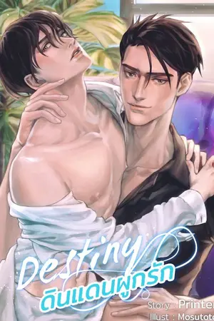 ปกนิยาย destiny ดินแดนผูกรัก