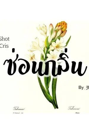 ปกนิยาย [One Shot] ซ่อนกลิ่น #บีคริส
