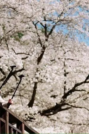 ปกนิยาย Woojin x Jihoon [2park]