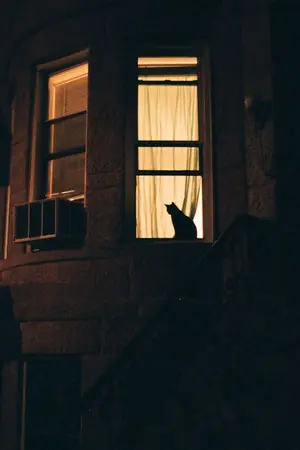 ปกนิยาย [Harry potter fanfic] I know something (Yaoi)