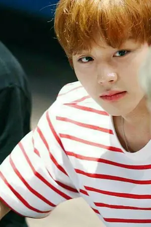 ปกนิยาย #ก็เราจะจีบพี่ - deepwink [PRODUCE101/WANNAONE]