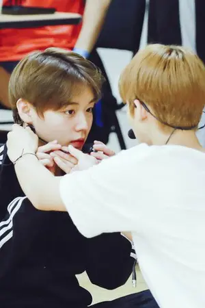 ปกนิยาย [PRODUCE101/WANNAONE] #พี่แพนน้องปัน - jinhoon (thaiver.)