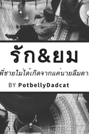 ปกนิยาย