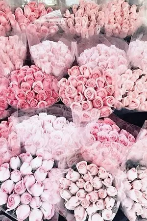 ปกนิยาย (seventeen) 40 mm ; minwon #ฟิคสี่สิบมิล