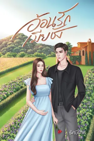 ปกนิยาย อ้อนรักเมียชัง