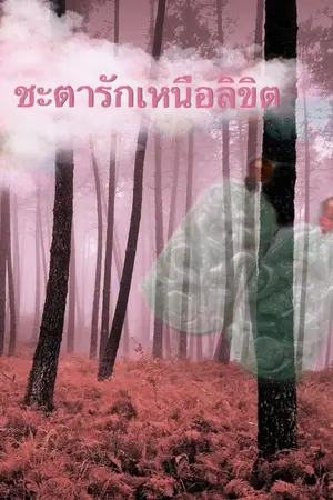 ปกนิยาย ชะตารักเหนือลิขิต