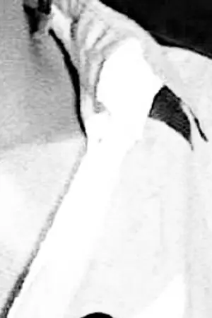 ปกนิยาย [omegaverse] - La douleur