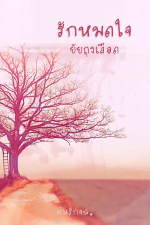 ปกนิยาย รักหมดใจยัยถุงเลือด