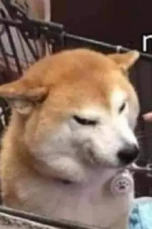 ปกนิยาย ประกาศด่วนค่ะ!