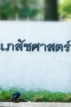 ปกนิยาย Because you are the answer เพราะเธอคือคำตอบ 👷‍♂️👨‍⚕️