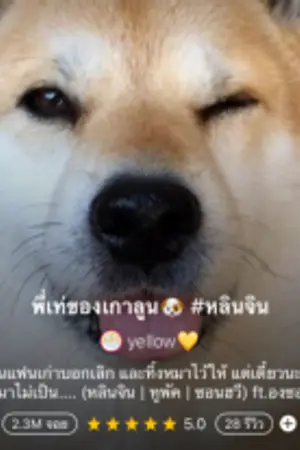 ปกนิยาย พี่เท่ของเกาลูน #หลินจิน