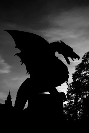 ปกนิยาย { FIC EXO } - My Dragon 🔥 | Kaisoo ft.chanbaek