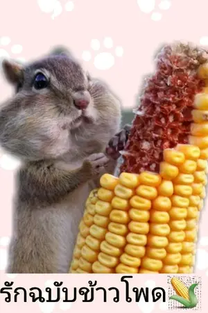 ปกนิยาย Corn รักฉบับข้าวโพด🌽