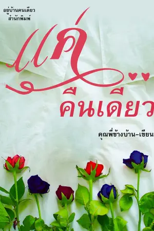 ปกนิยาย แค่คืนเดียว...