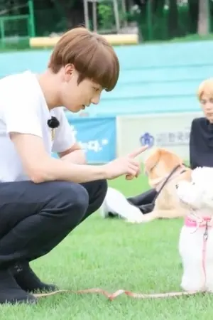 ปกนิยาย [FIC KOOKMIN] Like a dog owner #น้องหมากุกมิน