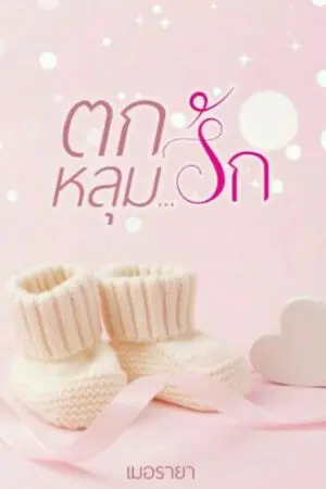 ปกนิยาย ตกหลุม...รัก