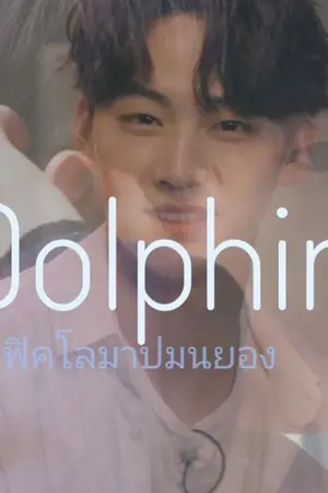 ปกนิยาย Dolphin #ฟิคโลมาปมนยอง