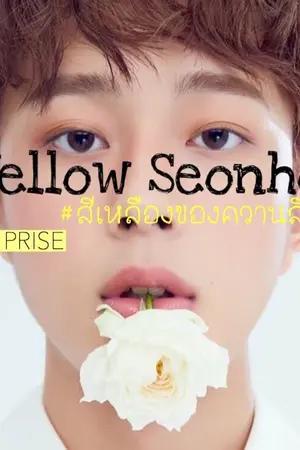 ปกนิยาย Yellow Seonho #สีเหลืองของควานลิน {linho}