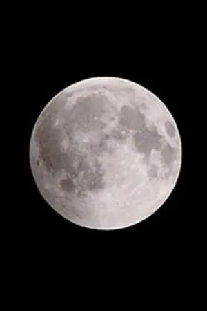 ปกนิยาย Shadow Blood | Kaisoo Chanbaek