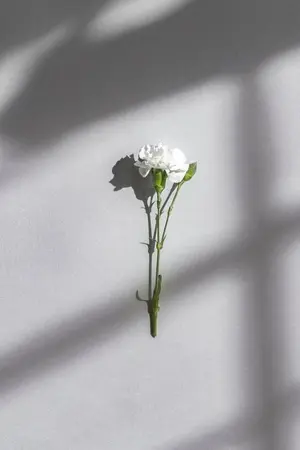 ปกนิยาย [YAOI] Apathy ไร้อารมณ์รัก