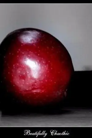 ปกนิยาย [kookv][jungkook x v]สโนไวท์กับคนแคระทั้งเจ็ด