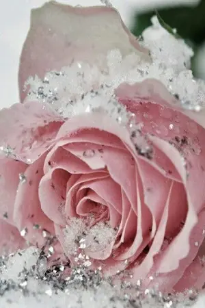 ปกนิยาย {WANNA ONE X YOU} GOD LOVE