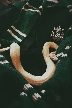 ปกนิยาย FIC Harry Potter | You are Mine สมบัติของราชา