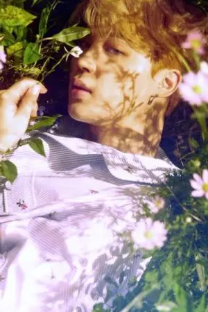 ปกนิยาย เจ้าสาวหมาป่าKOOKMIN#จสหมาป่ากุกมิน