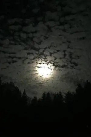 ปกนิยาย ข้างบ้านผมเป็นแวมไพร์