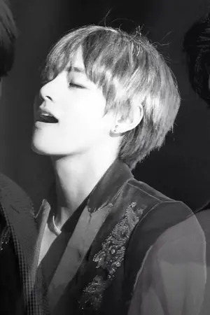 ปกนิยาย [FIC BTS] Opposite house | kookv