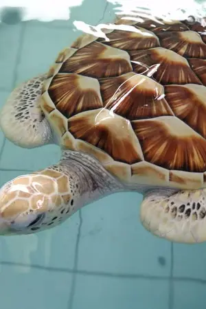 ปกนิยาย เงารัก กาลเวลา