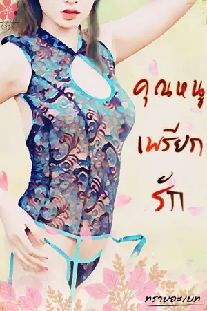 ปกนิยาย