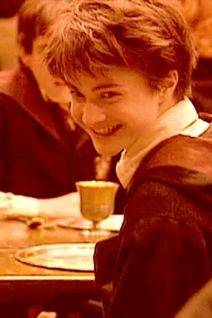 ปกนิยาย #DrarryIsAJoke