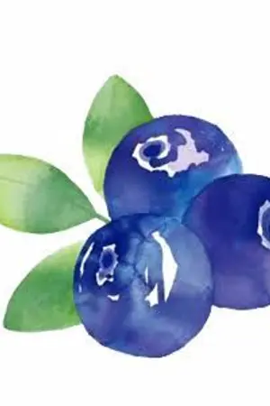 ปกนิยาย blueberry | chanbaek ♡