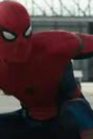 ปกนิยาย ระบบdcป่วนมาเวล