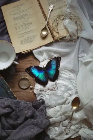 ปกนิยาย [All naib] butterfly ผีเสื้อตัวนั้น [ identity - v ]