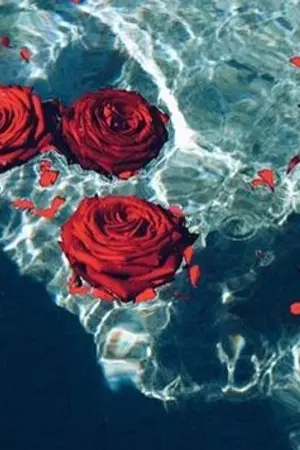 ปกนิยาย Allure of sea - Nielong