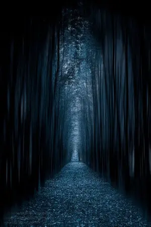 ปกนิยาย [ Diabolik lovers ] The beginning of a demon that doesn't keep promises(ชุดที่1)