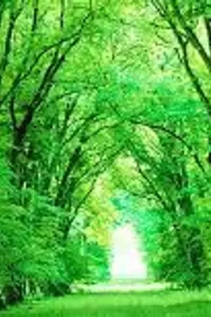 ปกนิยาย [ arcana famiglia ] The beginning of an angel who can't fly(ชุดที่2)