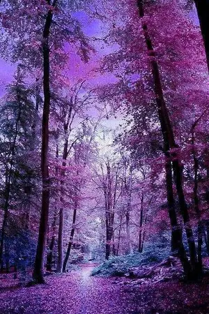 ปกนิยาย [ Hiiro No Kakera ] the beginning of the Satanic Angel to live (ชุดที่5)