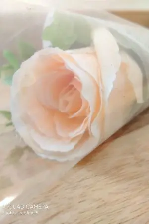 ปกนิยาย รักนะ คุณพี่สาว