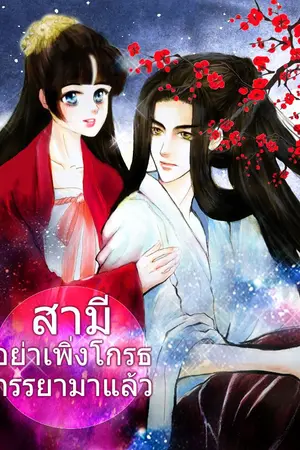 ปกนิยาย [老公不要生气我来了!] สามีอย่าเพิ่งโกรธ ภรรยามาแล้ว