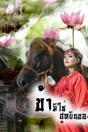 ปกนิยาย ข้ามิใช่ฮูหยินขิงท่านแม่ทัพ